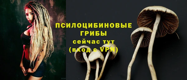 гашиш Бородино