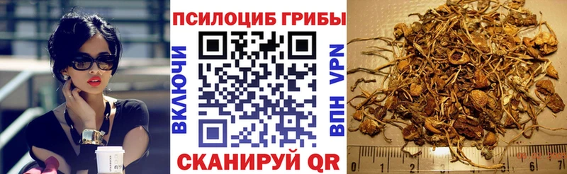 магазин продажи наркотиков  кракен ONION  Галлюциногенные грибы Cubensis  Динская 